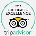 TripAdvisor logo