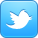 Twitter Icon