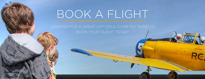 Book a Flight