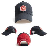 32311 - Snowbirds Cap - Click on image for more Information or to Order this Selection